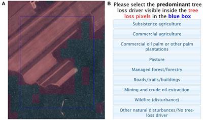 A Continental Assessment of the Drivers of Tropical Deforestation With a Focus on Protected Areas